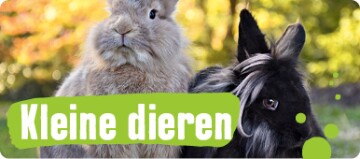 Kleine dieren