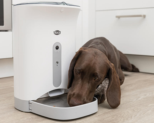 Bruine hond eet uit een automatische voederbak van het merk Trixie in een moderne keuken met witte kasten.