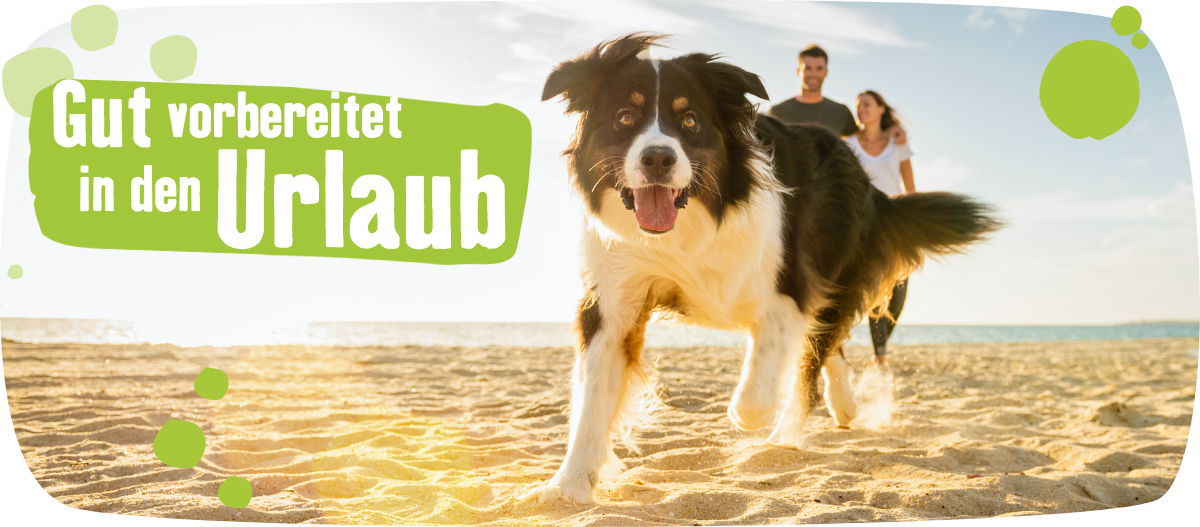 Urlaub Haustier Vorbereitung