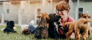Junge Frau mit Brille spielt glücklich mit mehreren verspielten Welpen auf einer Wiese in einem Tierheim.