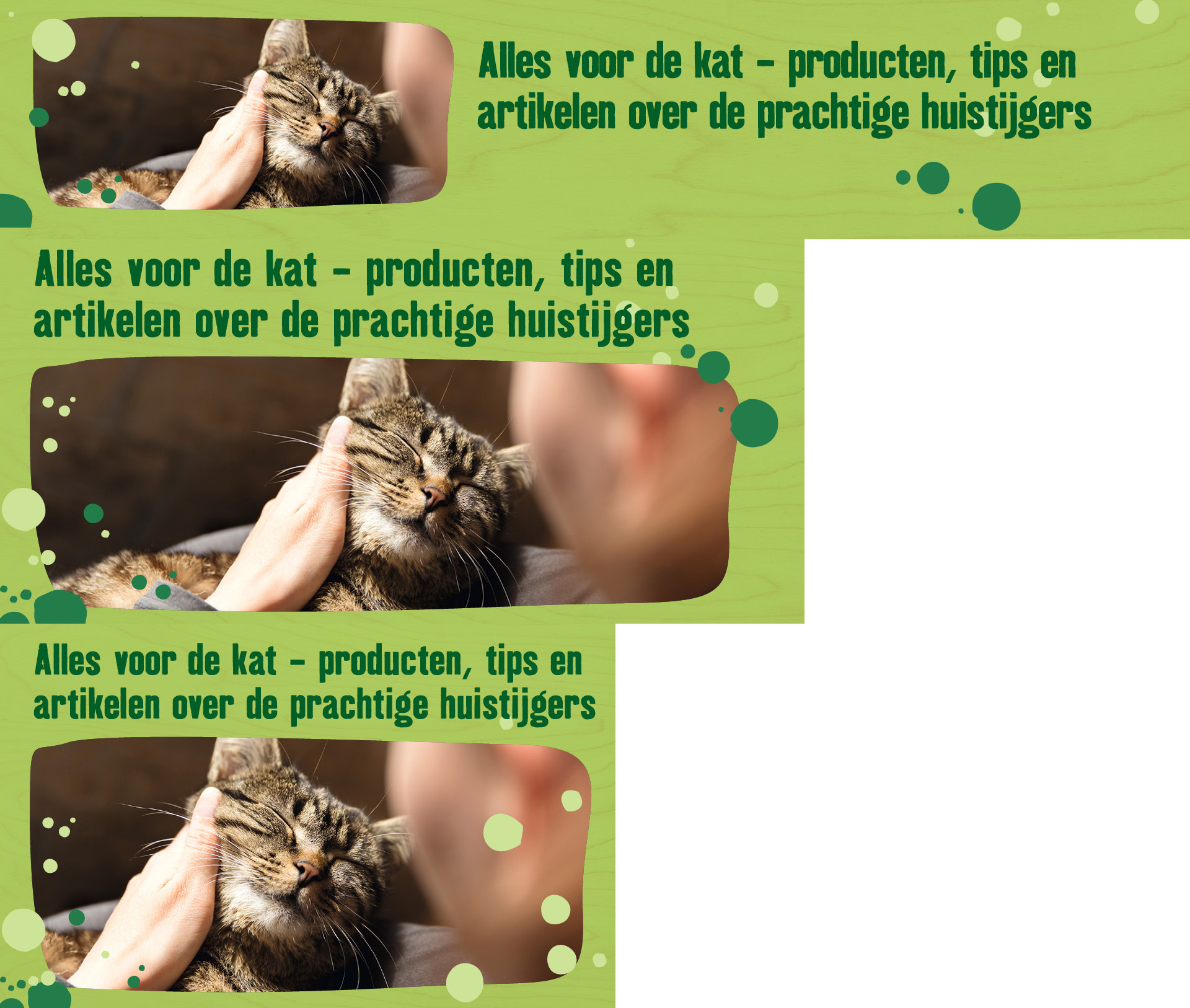 BE_KW31_CatDay_.PLP_1 Alles voor de kat