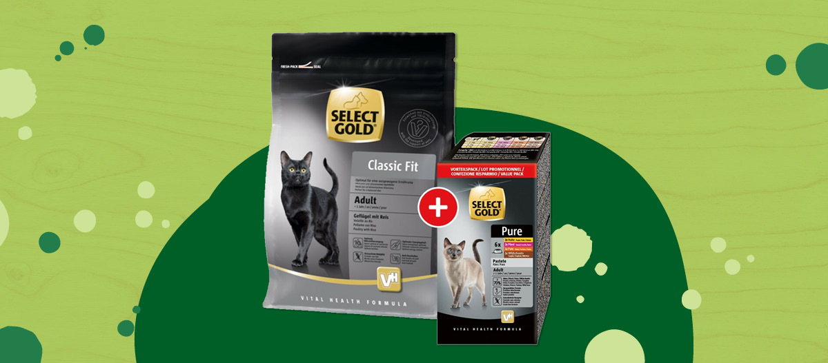 DE_KW31_CatDay_.Fullsize3 Select Gold Katzenfutter Classic Fit Adult mit Geflügel und Reis neben Select Gold Pure Nassfutter für erwachsene Katzen im Vorteilspack