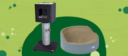 Schwarzer Katzenbaum mit Sisal-Kratzpfosten und Spielball neben rundem Katzenbett aus Wellpappe mit grauem Stoffbezug vor grünem Hintergrund
