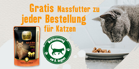 DE_OS_FreeGiftCatDay_KW31_.6er_1 Gratis Nassfutter zu jeder Bestellung für Katzen - Select Gold