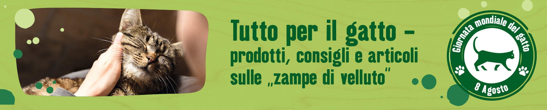 Tutto per il gatto - Giornata mondiale del gatto 8 agosto 2021