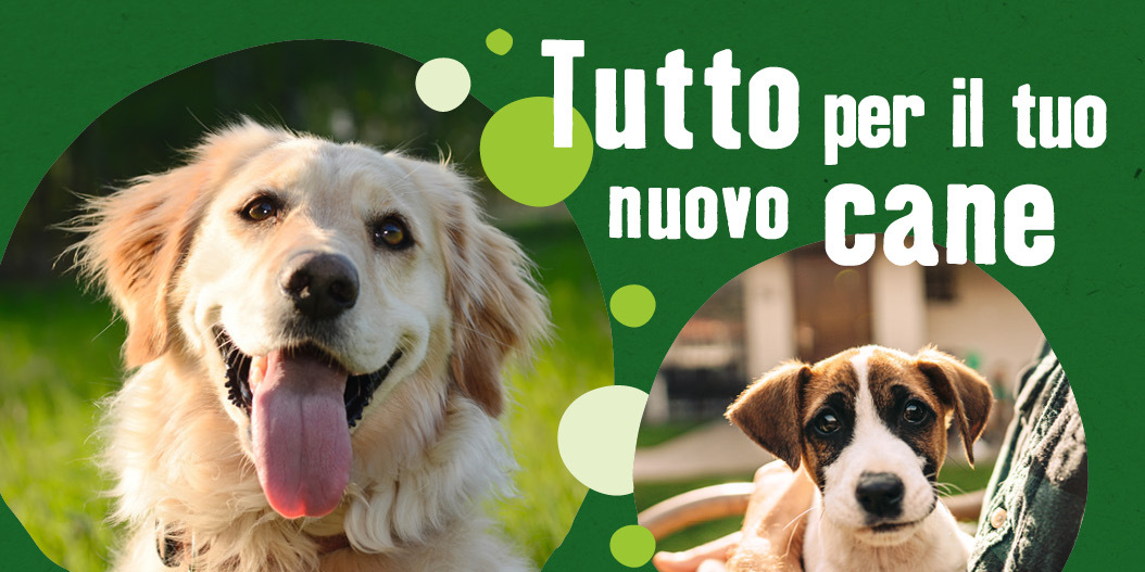 10% sconto sui primi accessori per cane e