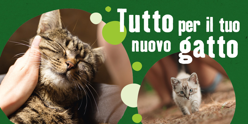 10% sconto sui primi accessori per gatto