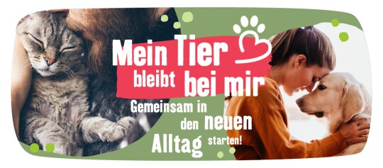 Mein Tier bleibt bei mir - Gemeinsam in den neuen Alltag starten - Teaser