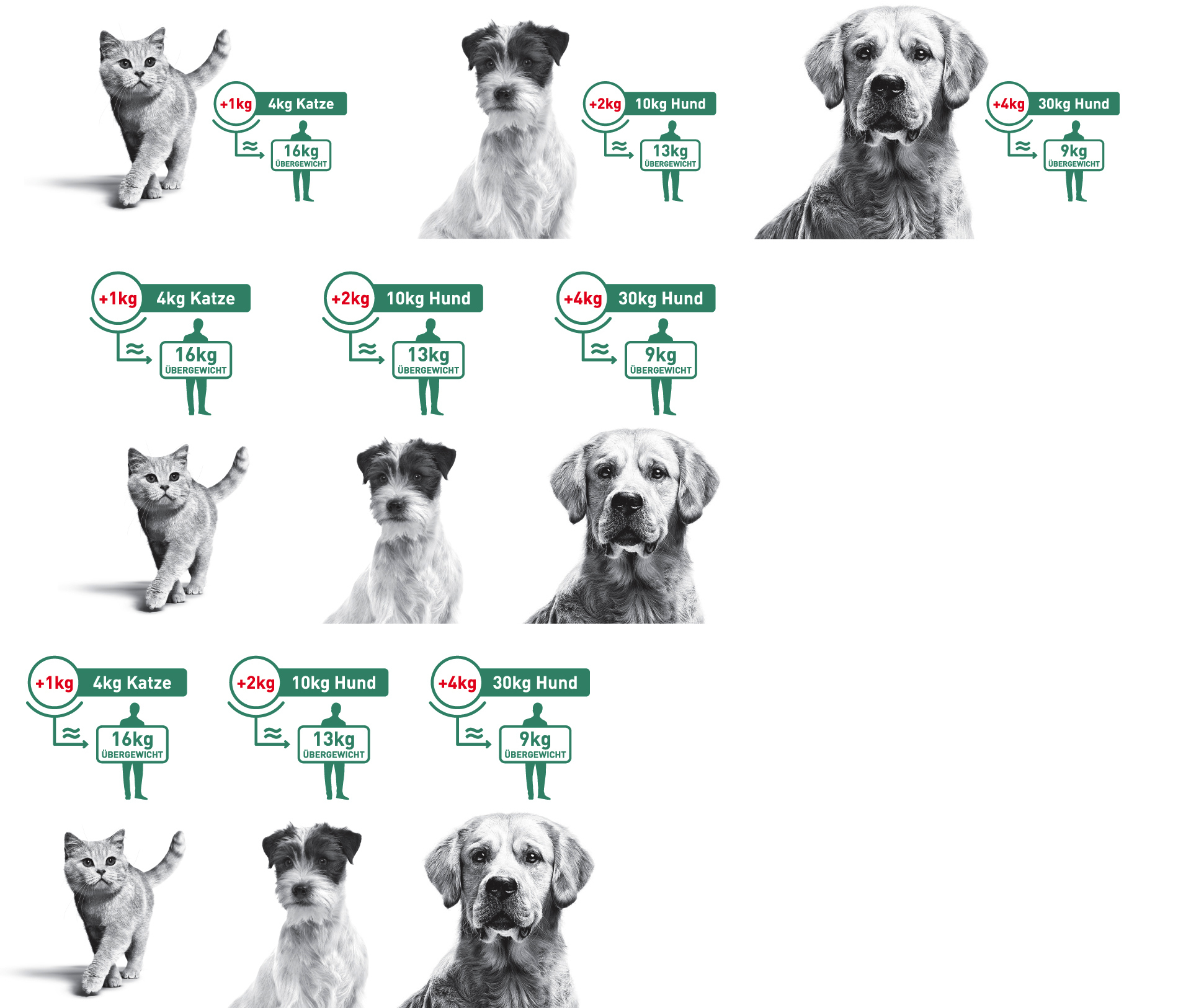 PLP_Sprite_Weights ROYAL CANIN SATIETY