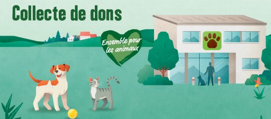 animations locales collecte de dons