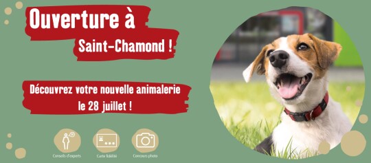 Ouverture à Saint-Chamond