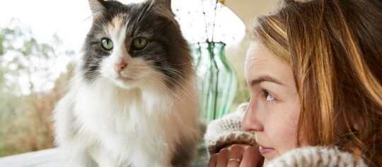 Nahaufnahme einer flauschigen, langhaarigen Katze mit grünen Augen neben einer Frau mit braunen Haaren, die sie liebevoll ansieht, in einem gemütlichen Innenraum.