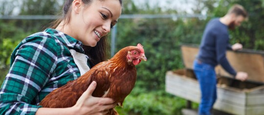 Frau hält ein braunes Huhn liebevoll im Garten, während ein Mann im Hintergrund den Hühnerstall öffnet.