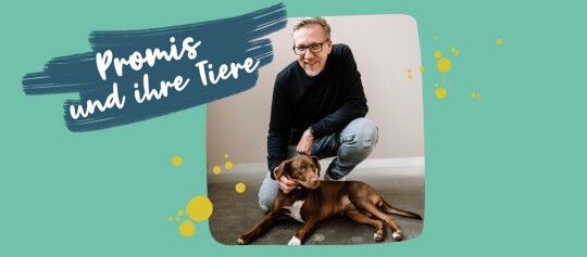 Ein Mann mit Brille und schwarzem Pullover kniet neben einem braunen Hund mit weißen Pfoten, umgeben von einem türkisen Hintergrund mit gelben Punkten und dem Schriftzug „Promis und ihre Tiere“.
