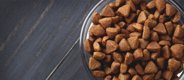 Schüssel mit trockenem Hundefutter in dreieckiger Form auf dunklem Holztisch