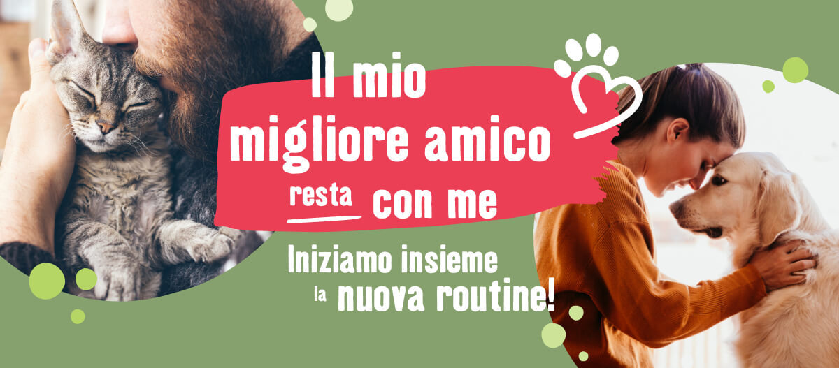 IT_OS_Fullsize_ Il mio migliore amico resta con me - Iniziamo insieme la nuova routine!