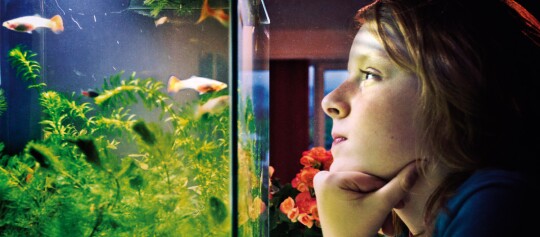 Junge Person betrachtet nachdenklich ein Aquarium mit bunten Fischen und grünen Wasserpflanzen in einem gemütlichen Raum.