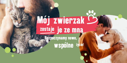 PL_OS_6er_ Kobieta przytula psa, a osoba trzyma zrelaksowanego kota – symbol miłości i wspólnego życia z ukochanym zwierzakiem.