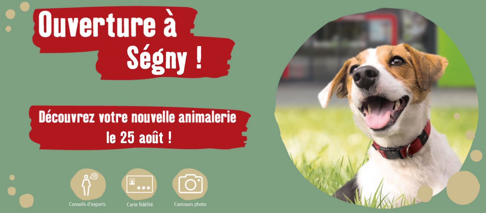 Ségny Ouverture à Ségny