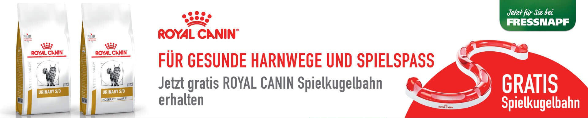 Für Harnwege und Spielspaß - jetzt gratis Spielkugelbahn sichern mit ROYAL CANIN