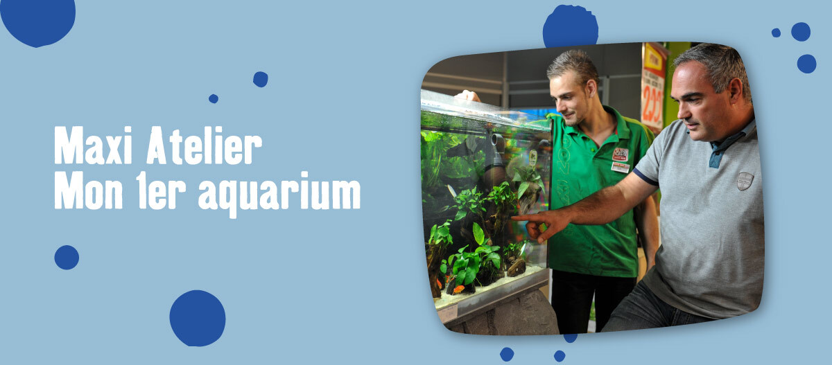 animation-locales-1eraqua bannière premier aquarium