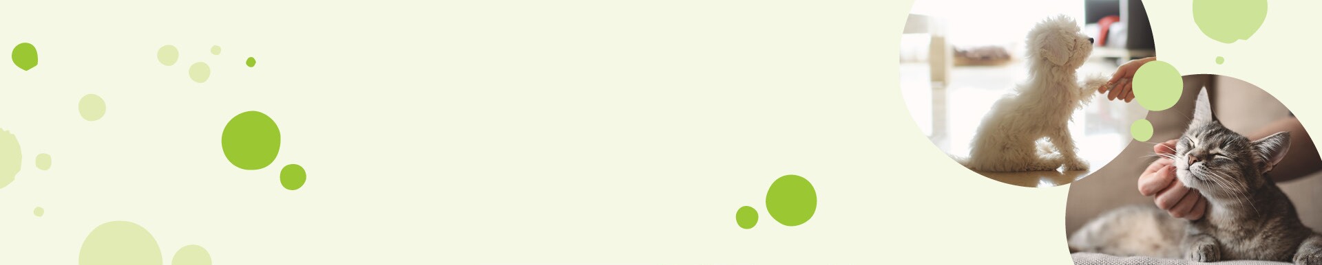 Newsletter Gewinnspiel Österreich September