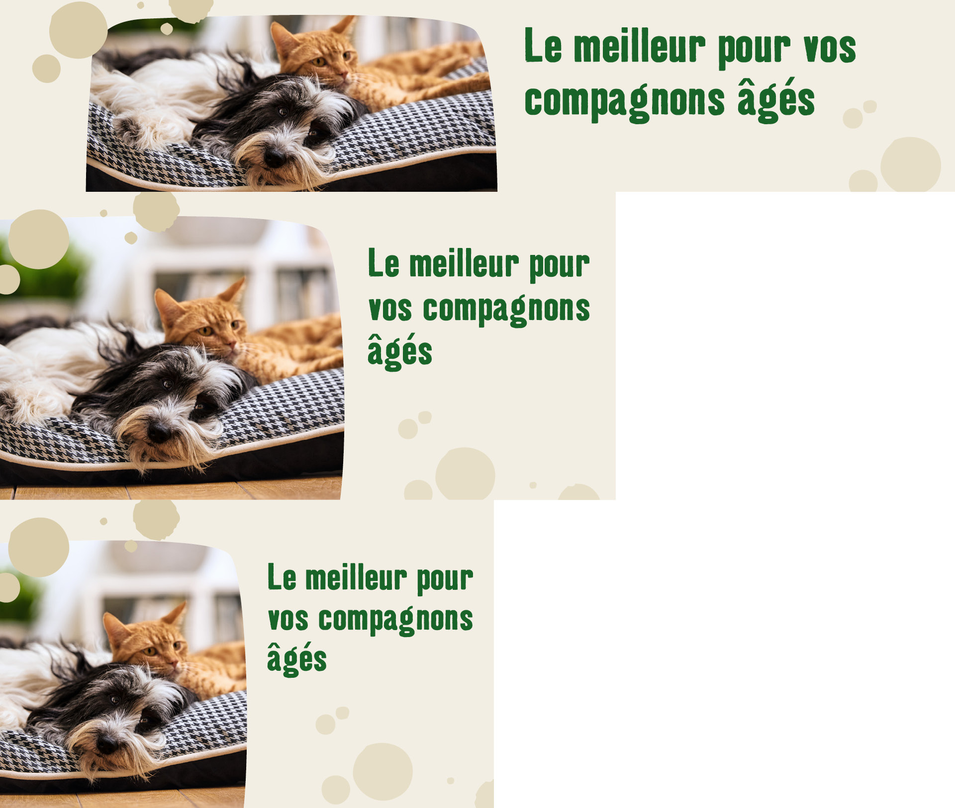 BE_OS_SeniorPet_01.PLP_1 Le meilleur pour vos compagnons âgés