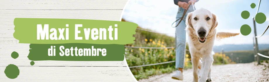 MaxiEventi_SETT_2021 MaxiEventi_SETT_2021