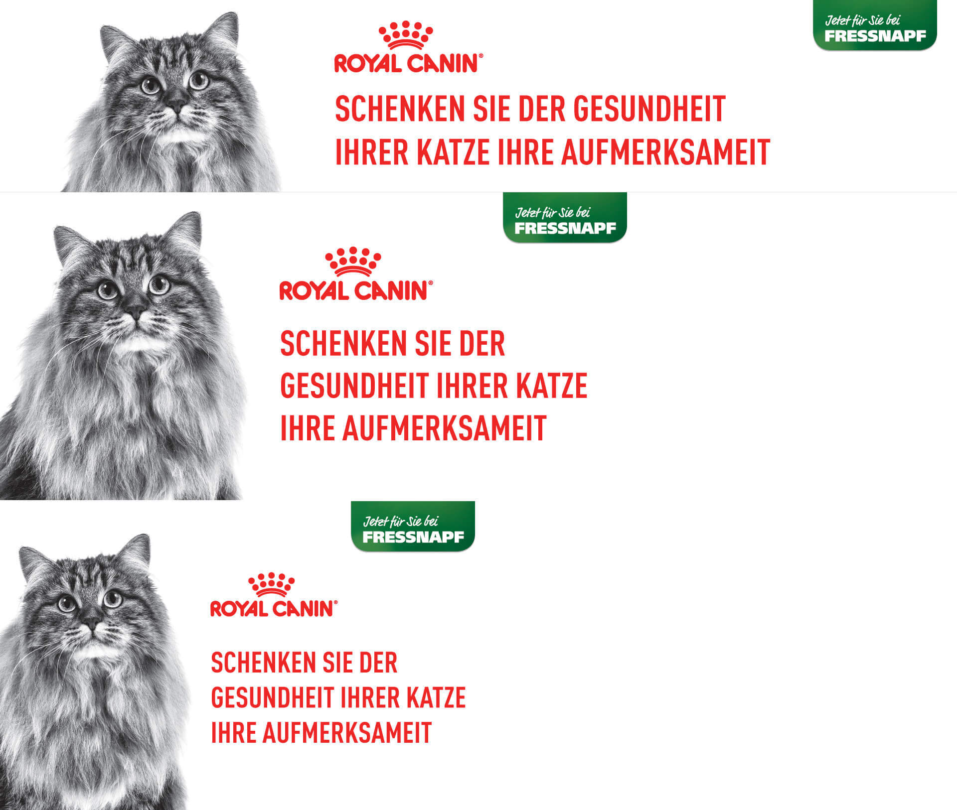 PLP_SPRITE_GERMAN_CAT Royal Canin - Schenken Sie der Gesundheit Ihres Tieres mehr Aufmerksamkeit