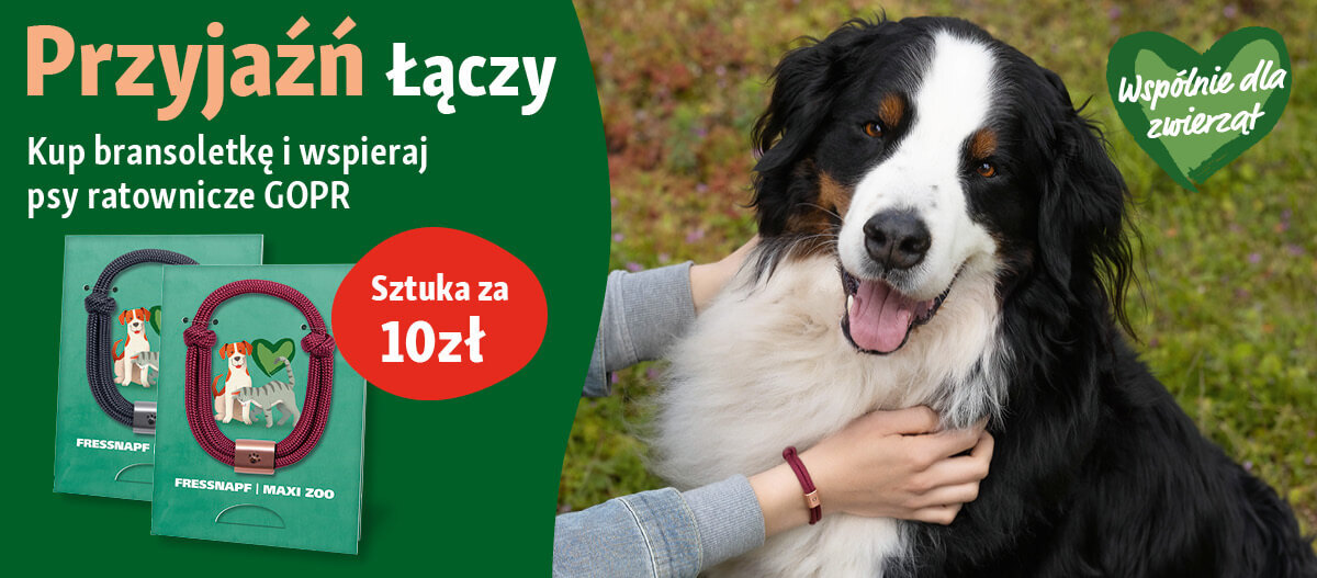 PL_KW35_TEArmband_PB_OS.Fullsize1 Przyjaźń łączy