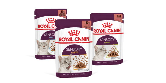 Royal Canin Sensory Katzenfutter Beutel 85g mit Fokus auf Fühlen, Schmecken und Riechen, gesunde Ernährung für Katzen