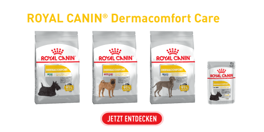 Ligne de produits ROYAL CANIN Dermacomfort Care avec nourriture sèche pour chiens petits, moyens et grands et nourriture humide pour chats, pour peaux sensibles