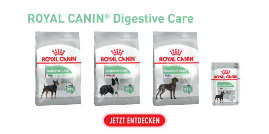 Aliments pour chiens ROYAL CANIN Digestive Care pour tailles Mini, Medium et Maxi avec bouton Découvrir maintenant