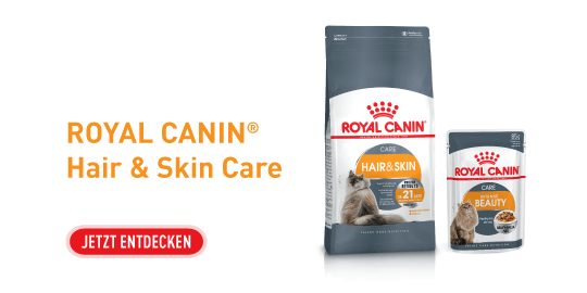 Nourriture pour chats ROYAL CANIN® Hair & Skin Care – alimentation sèche et humide pour une peau saine et un pelage brillant, découvrez maintenant