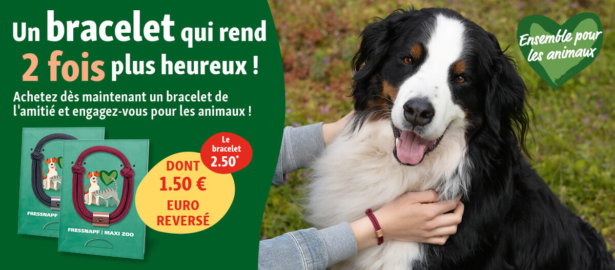 banniere-web-bracelets banniere bracelet 2021