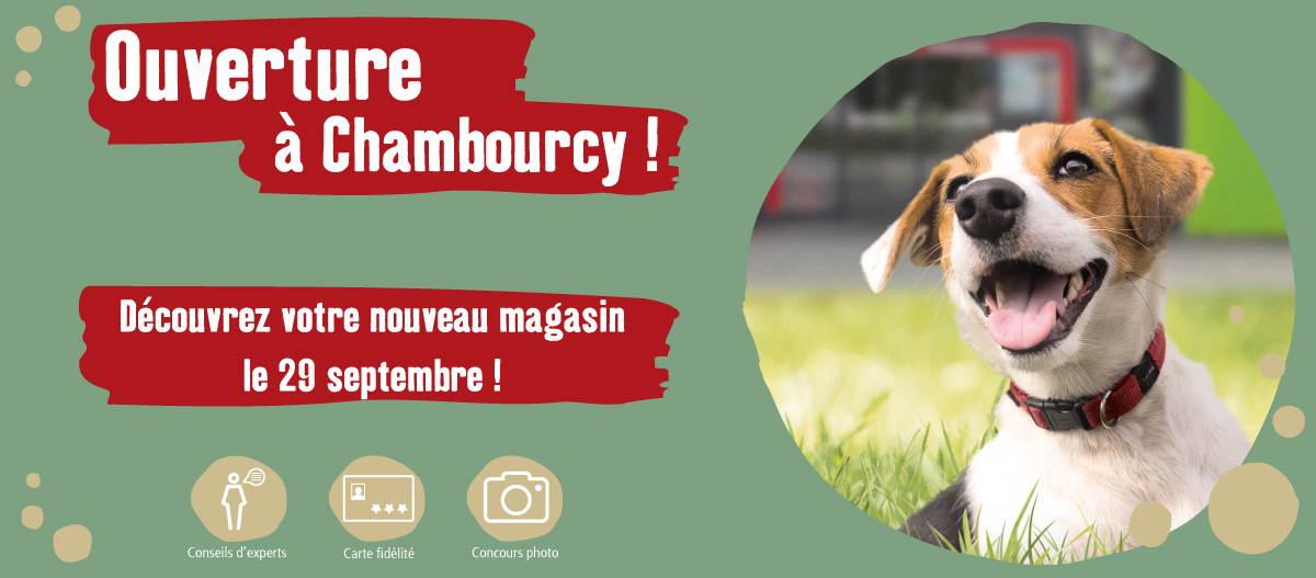 chambourcy-openings-online_banner FR opening Chambourcy
