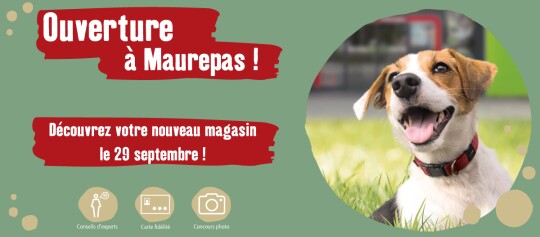 FR opening Maurepas