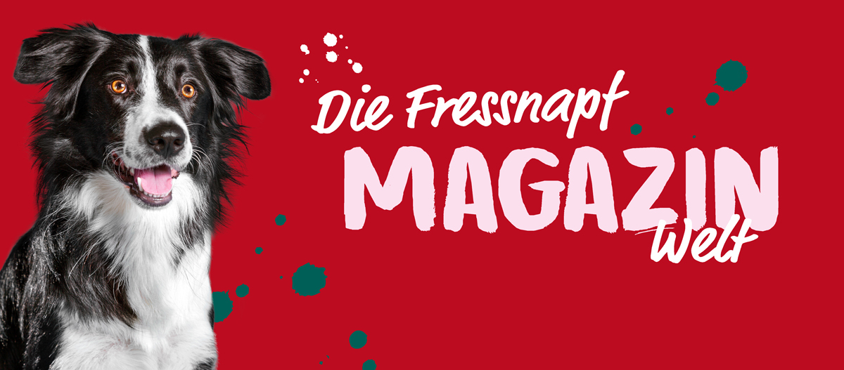 Fressnapf Magazin Teaser Fressnapf Magazin Teaser