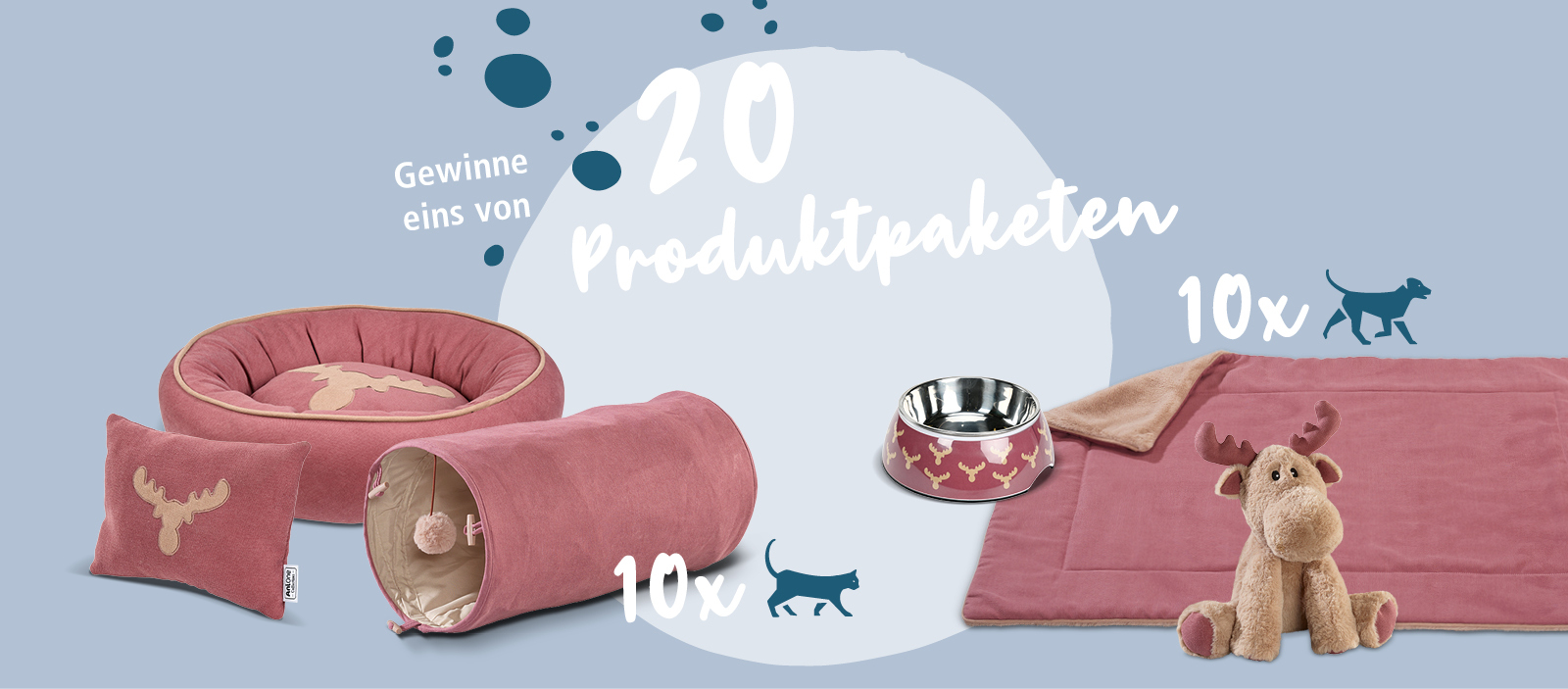 Gewinnspiel AniOne Wintertime Gewinnspiel AniOne Wintertime