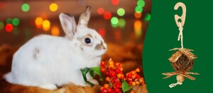 Biały królik z brązowymi plamami obok czerwonych jagód na tle kolorowych świateł oraz naturalna wisząca zabawka z plecionego materiału na zielonym tle