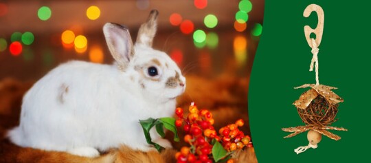 Tolle Geschenkideen für Kleintiere