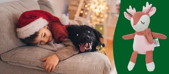 Tolle Geschenkideen für Hunde