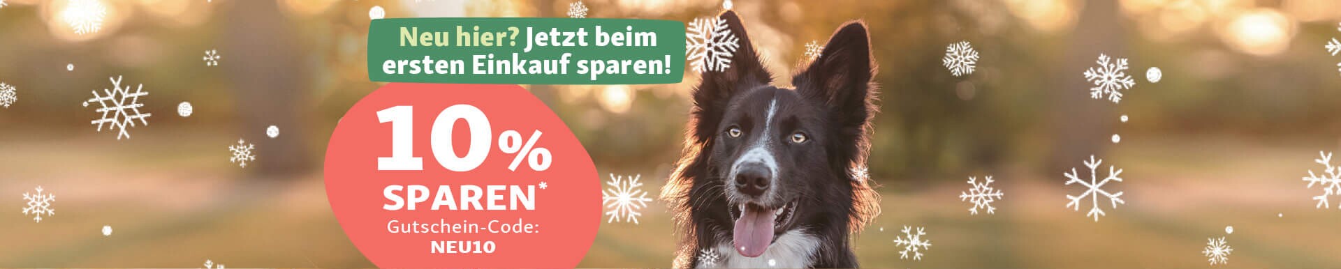 DE_KW44_NewCustomer_SG_OS.Stage_2 10% Rabatt für Neukunden