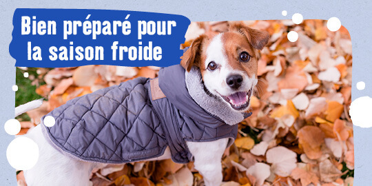 Animalerie en ligne : produits pour animaux  MAXI ZOO