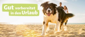 Glücklicher Hund läuft am Strand mit einem Paar im Hintergrund – gut vorbereitet für den Urlaub