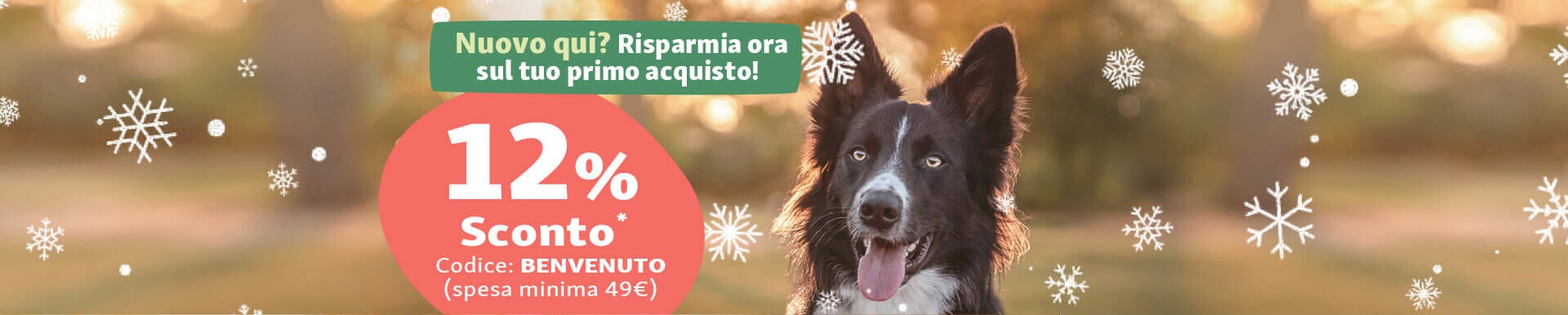 IT_KW44_NewCustomer_SG_OS.Stage_1 Nuovo qui? Risparmia ora sul tuo primo acquisto! 12% sconto con codice BENVENUTO
