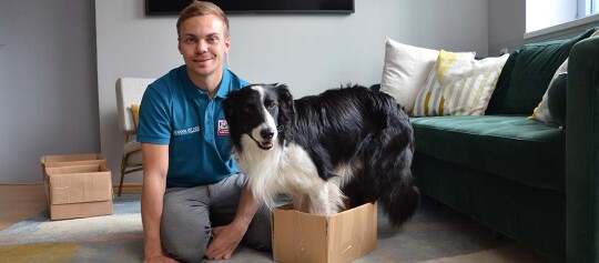 Junger Mann trainiert Border-Collie-Hund, der in einem kleinen Karton steht, gemütliches Wohnzimmer mit grünem Sofa und Kissen
