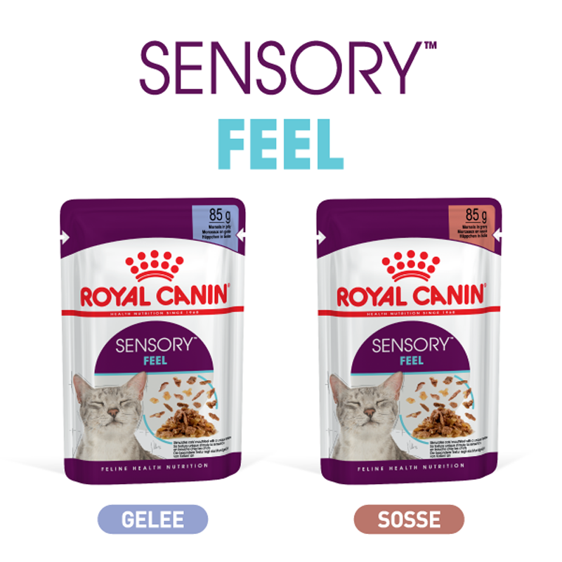 Sensory Feel Composing Royal Canin Sensory Feel Katzenfutter in Gelee und Soße, 85g Packungen mit zufriedener Katze