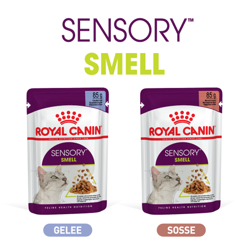Sensory Smell Composing Royal Canin Sensory Smell Katzenfutter 85g in Gelee und Soße, gesunde Ernährung für Katzen