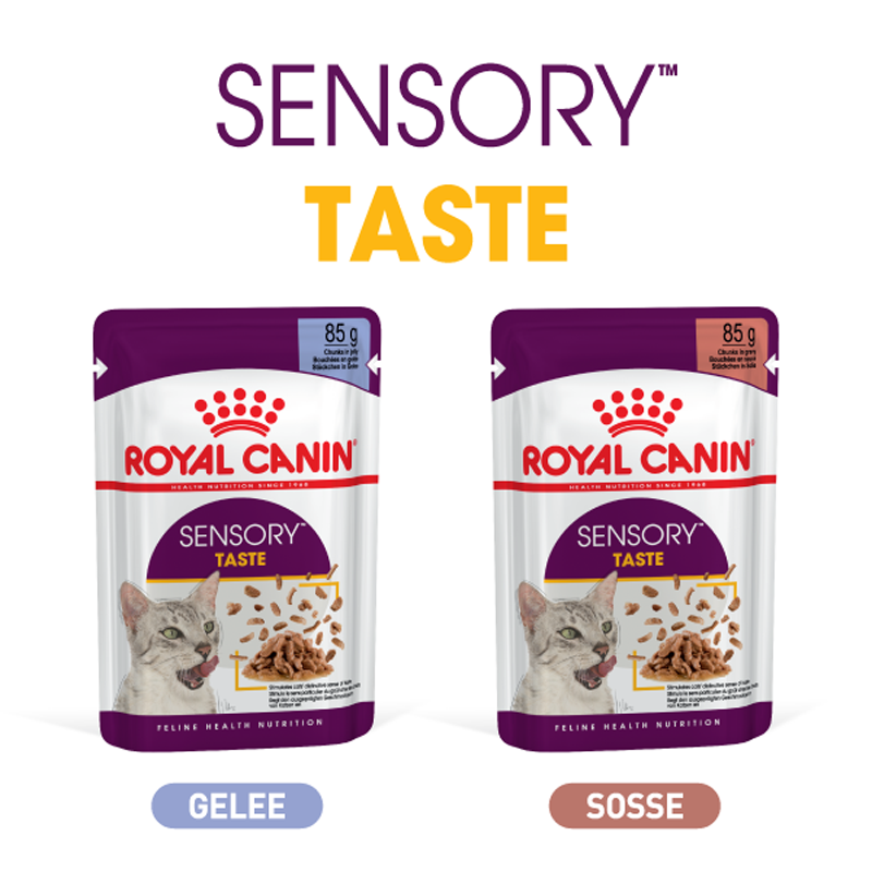 Sensory Taste Composing Royal Canin Sensory Taste Katzenfutter 85g Packungen in Gelee und Soße mit grauer Katze
